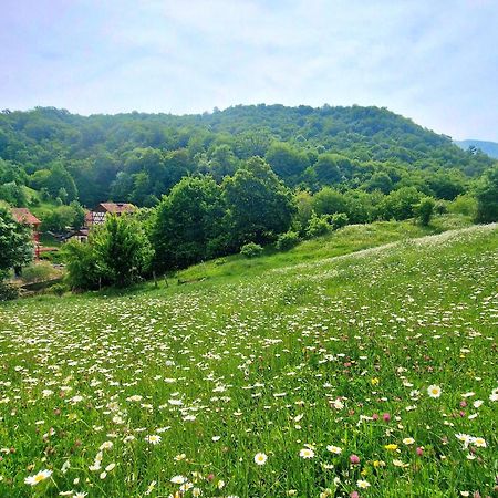 Ecokayan Dilijan Resort Hotel Dış mekan fotoğraf
