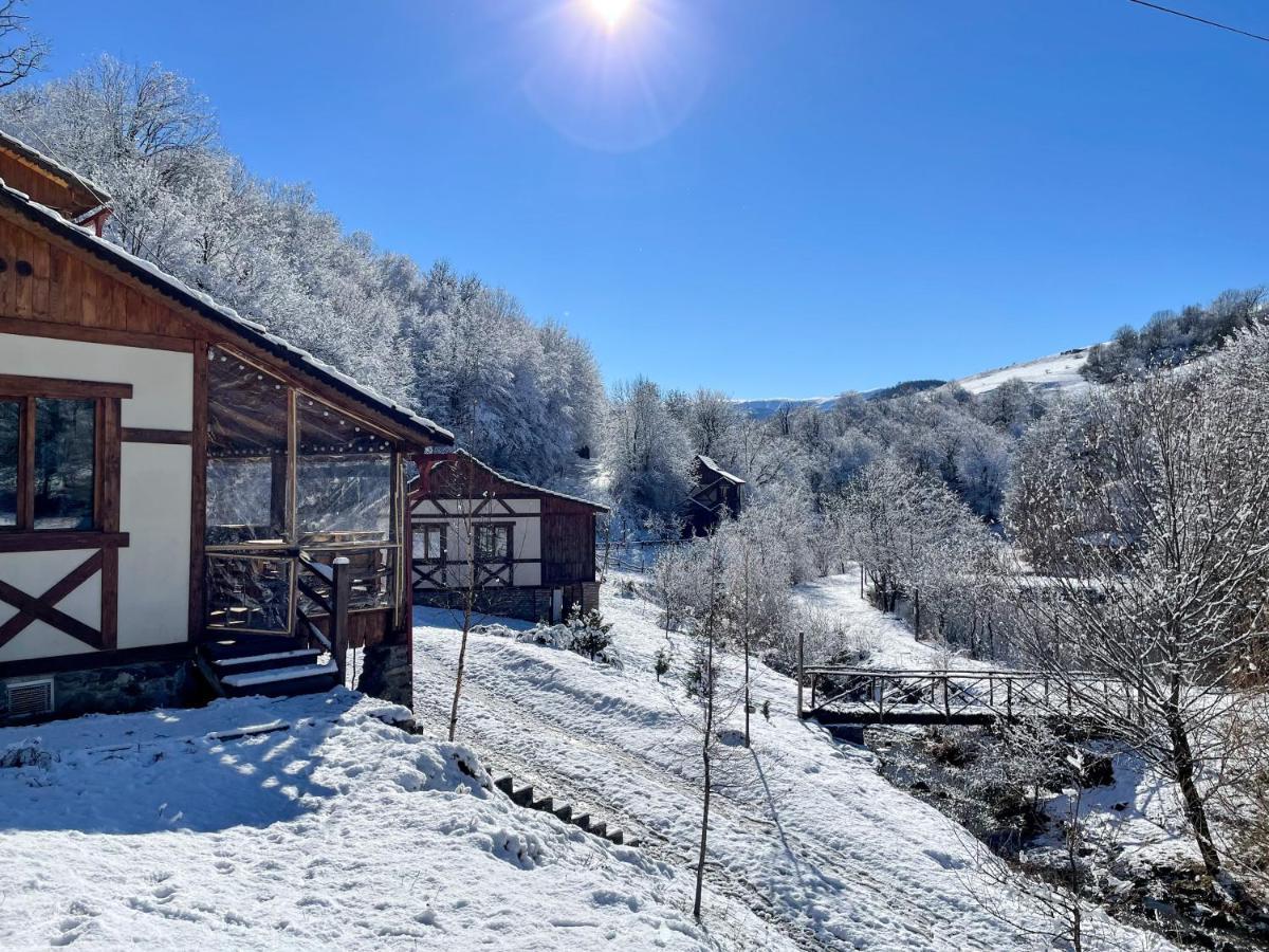 Ecokayan Dilijan Resort Hotel Dış mekan fotoğraf