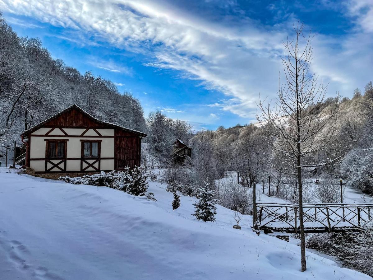 Ecokayan Dilijan Resort Hotel Dış mekan fotoğraf