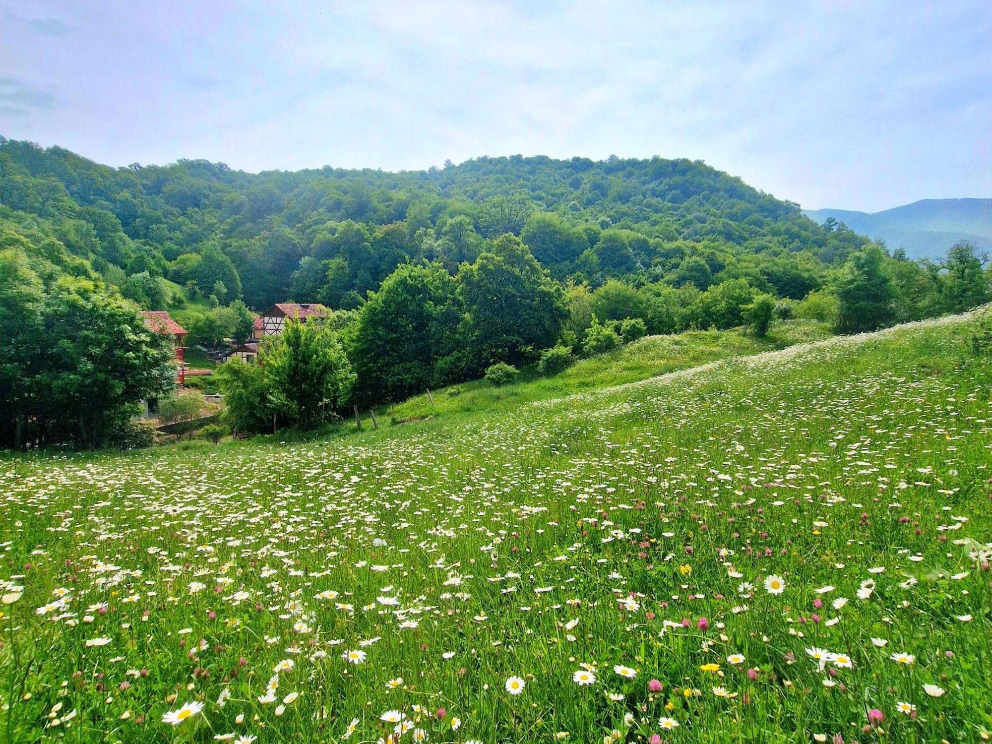 Ecokayan Dilijan Resort Hotel Dış mekan fotoğraf