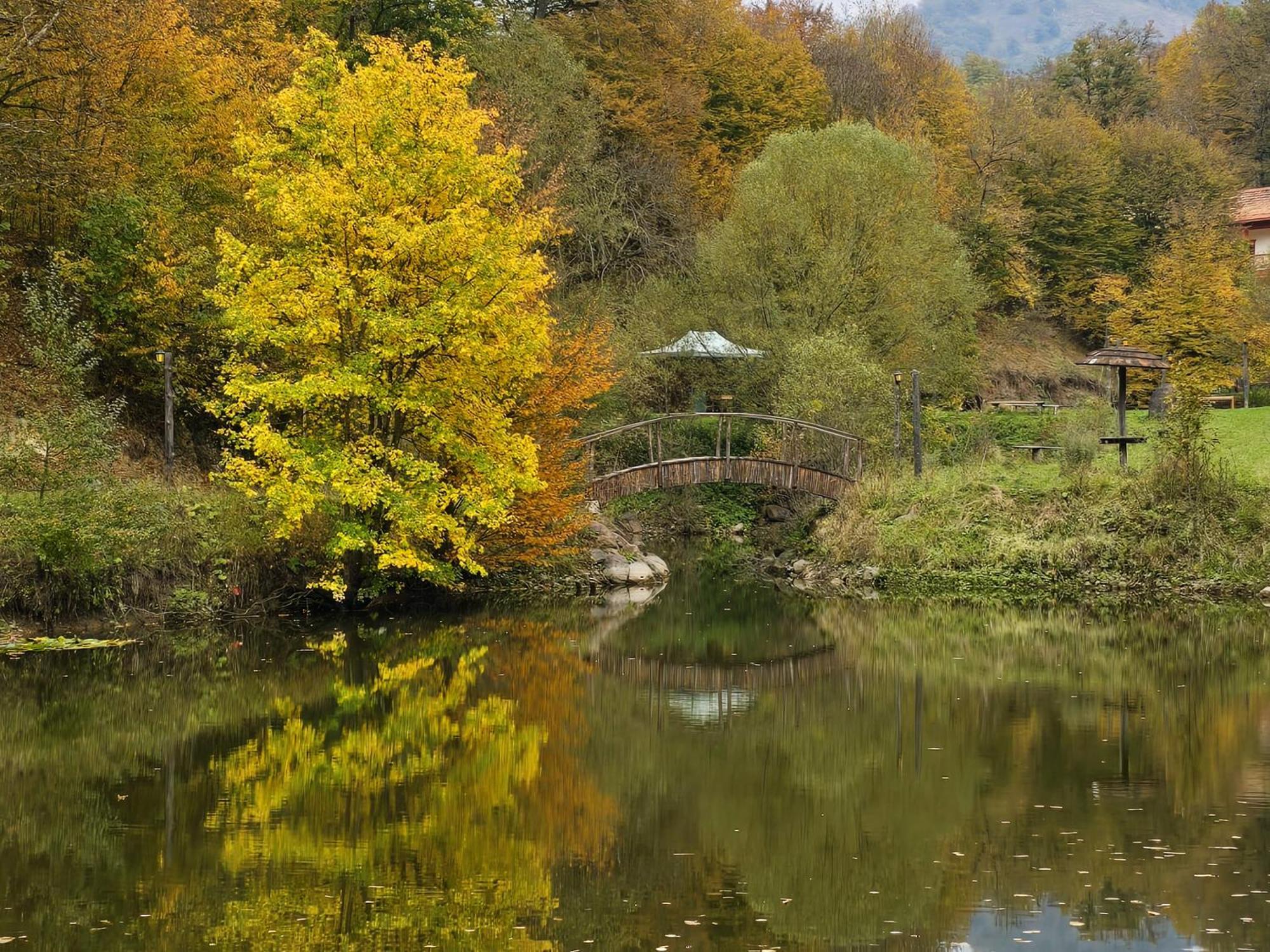 Ecokayan Dilijan Resort Hotel Dış mekan fotoğraf